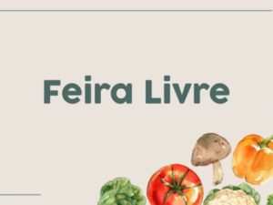 Prazo para feirantes obterem novas licenças vai até fevereiro