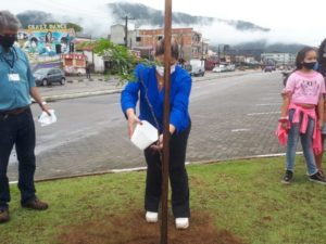 Projeto Semeando Sombras chega a marca de 381 mudas plantadas