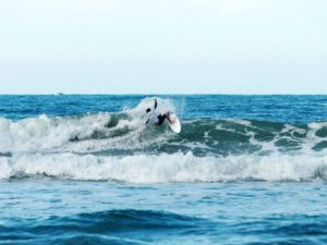 Esporte: Ubatuba sediou 20 competições de surfe em 2021