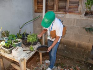 Ações contra dengue continuam por diversos bairros da cidade