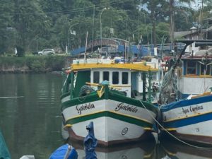 Ubatuba terá ponto para recebimento de resíduos retirados do mar