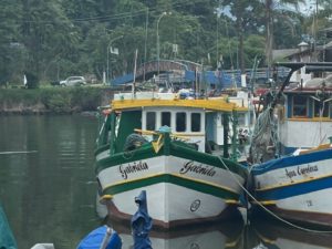 Inscrições de treinamento para pescadores acabam nesta quarta