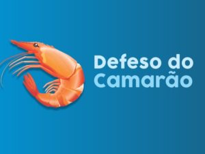 Período de defeso do camarão se estende até 31 de maio