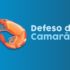 Defeso do camarao