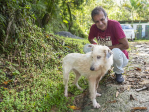 Proteção e Bem-Estar Animal faz balanço de 6 meses de atuação