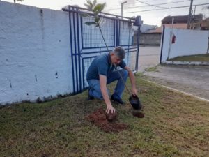 Bairro a bairro: Meio Ambiente faz doação de mudas e explica a TPA