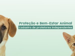 Bem-Estar Animal promove cadastro de protetores independentes