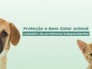 Cadastro de protetores de animais será encerrado hoje