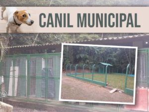 Canil Municipal de Ubatuba é reformado pela Emdurb