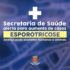 Esporotricose
