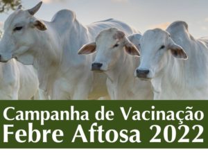 Campanha de vacinação contra a febre aftosa segue até dia 30 em Ubatuba