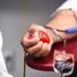 doação sangue