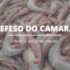 DEFESO DO CAMARAO