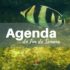 agenda 13a15jan