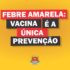 febre amarela