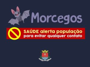 Saúde alerta população para evitar contatos com morcegos