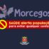 morcegos