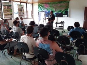 Fundação Florestal lança novo edital para aquisição de sementes de Juçara