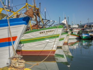 Agricultores, maricultores e pescadores de Ubatuba podem participar de evento da Amesp