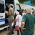 mutirão da dengue