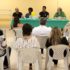 Posse Comus 2023 (2)