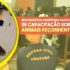 Defesa Civil animais peçonhentos