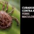 Febre Maculosa