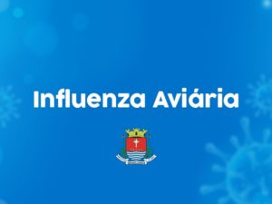 Gripe Aviária: Saiba o que fazer ao encontrar uma ave debilitada ou morta