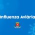 Influenza Aviária
