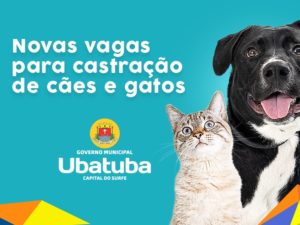 Centro de Referência Animal abre novas vagas para castração de cães e gatos