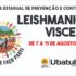 leishmaniose visceral