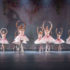 DSC_8545Palco Solidário 2023