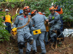Defesa Civil realiza treinamento de evacuação em São Sebastião