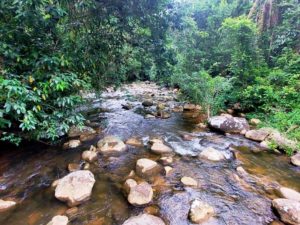 Comunidade de Ubatuba integra pesquisa sobre patrimônio cultural e mudanças climáticas