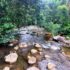 quilombo do camburi projeto clima