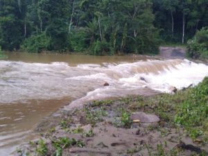 Coleta seletiva está temporariamente suspensa em Ubatuba