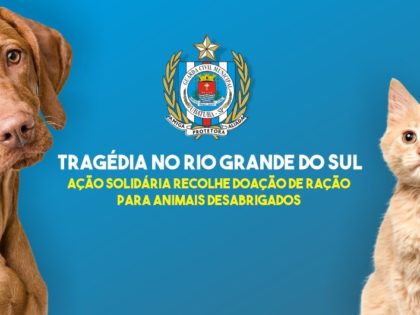GCM de Ubatuba lança campanha de doação para ração de animais do RS