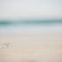 Pair of wedding ring on sand