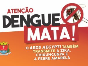 Período de chuva requer cuidados contra o mosquito Aedes aegypti