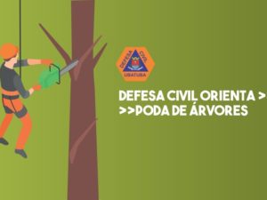 Defesa Civil reforça orientação sobre serviços de supressão de árvores