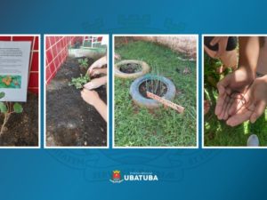 EMEI Alba cultiva aprendizado sustentável com crianças