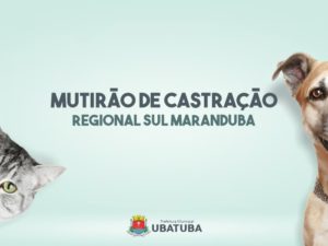 Mutirão de Castração na região Sul disponibiliza 230 vagas gratuitas