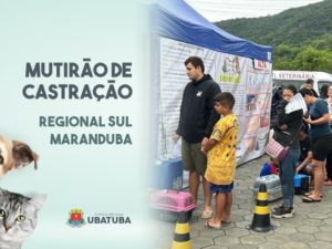 Mutirão de castração na região Sul atende 231 animais