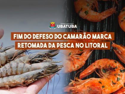 Fim do defeso do camarão marca retomada da pesca no litoral