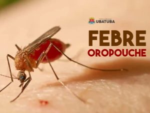 Secretaria de Saúde reforça alerta para febre do Oropouche