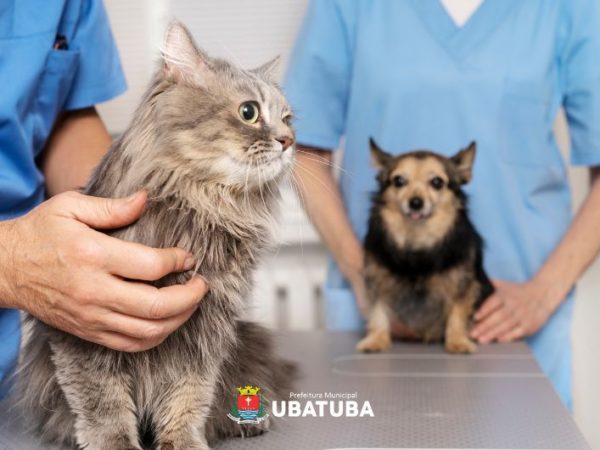 Perequê Mirim receberá vacinação antirrábica descentralizada dia 17