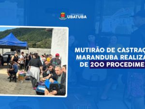 Mutirão de castração na Maranduba realiza mais de 200 procedimentos