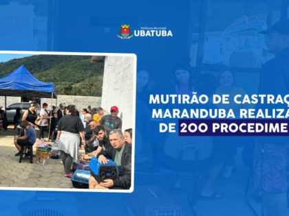 Mutirão de castração na Maranduba realiza mais de 200 procedimentos