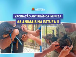 Vacinação antirrábica imuniza 68 animais na Estufa II