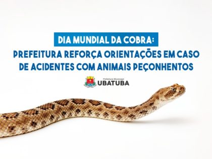 Prefeitura reforça orientações diante de acidentes com animais